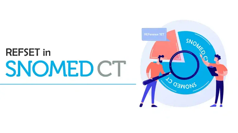 What is a Simple Refset in SNOMED CT?